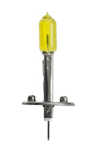 Load image into Gallery viewer, Photo - Close Up