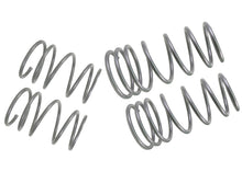 Load image into Gallery viewer, Photo - Close Up