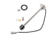 Load image into Gallery viewer, Photo - Primary