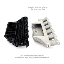 Load image into Gallery viewer, User 1