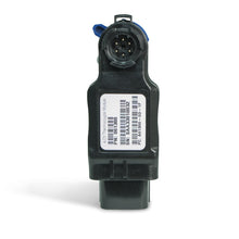 Load image into Gallery viewer, Photo - Unmounted