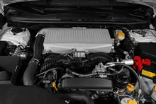 Load image into Gallery viewer, User 1