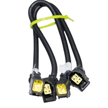 Load image into Gallery viewer, Photo - Unmounted