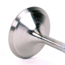 Load image into Gallery viewer, Photo - Unmounted