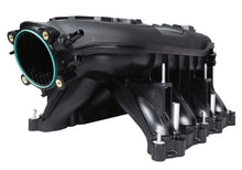 Load image into Gallery viewer, Photo - Unmounted