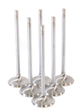 GSC P-D Toyota G16E-GTS 32.8mm Head (STD) Chrome Polished Intake Valves - Set of 6