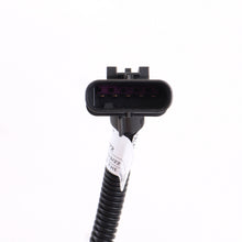 Load image into Gallery viewer, Photo - Unmounted