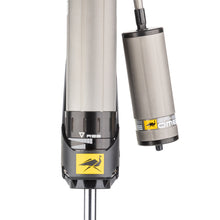 Load image into Gallery viewer, Photo - Close Up