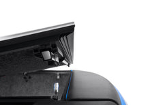 Load image into Gallery viewer, Photo - Mounted