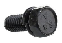 Load image into Gallery viewer, Photo - Unmounted