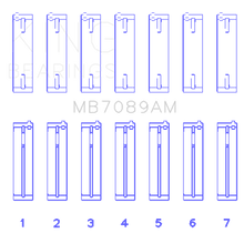 Load image into Gallery viewer, Photo - Primary