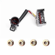 Load image into Gallery viewer, Photo - Unmounted