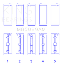 Load image into Gallery viewer, Photo - Primary