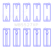 Load image into Gallery viewer, Photo - Primary