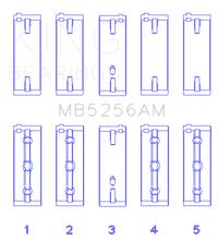 Load image into Gallery viewer, Photo - Primary