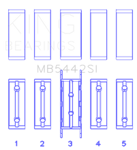 Load image into Gallery viewer, Photo - Primary