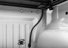 Load image into Gallery viewer, Photo - Close Up