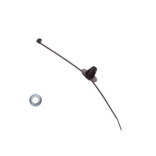 Load image into Gallery viewer, Photo - Unmounted