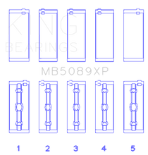 Load image into Gallery viewer, Photo - Primary