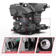 Load image into Gallery viewer, Photo - Unmounted