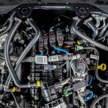 Load image into Gallery viewer, User 1