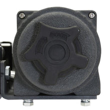 Load image into Gallery viewer, Photo - Close Up