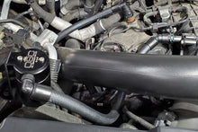 Load image into Gallery viewer, Photo - Mounted