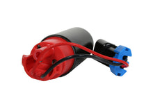 Load image into Gallery viewer, Photo - Primary