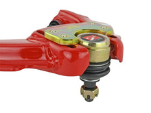 Load image into Gallery viewer, Photo - Unmounted