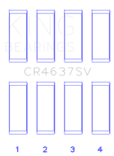 Load image into Gallery viewer, Photo - Primary