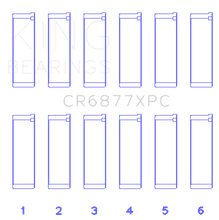 Load image into Gallery viewer, Photo - Primary