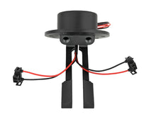 Load image into Gallery viewer, Photo - Unmounted