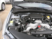 Load image into Gallery viewer, Photo - Mounted