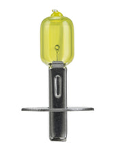 Load image into Gallery viewer, Photo - Close Up