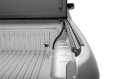 Load image into Gallery viewer, Photo - Close Up