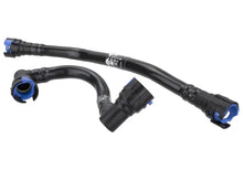 Load image into Gallery viewer, Photo - Unmounted