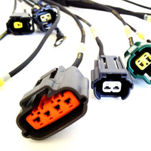 Load image into Gallery viewer, Photo - Primary