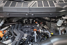 Load image into Gallery viewer, Photo - Close Up