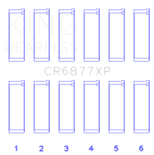 Load image into Gallery viewer, Photo - Primary