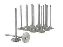 Load image into Gallery viewer, Photo - Unmounted