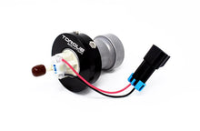 Load image into Gallery viewer, Photo - Primary