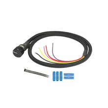 Load image into Gallery viewer, Photo - Primary