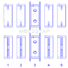 Load image into Gallery viewer, Photo - Primary