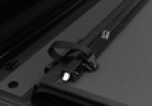 Load image into Gallery viewer, Photo - Mounted