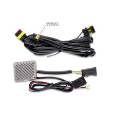 Load image into Gallery viewer, Photo - Unmounted