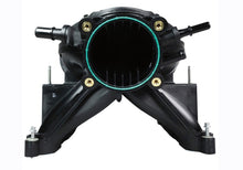 Load image into Gallery viewer, Photo - Unmounted