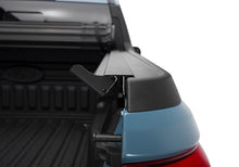 Load image into Gallery viewer, Photo - Mounted