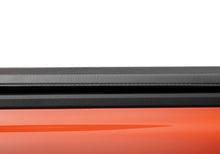 Load image into Gallery viewer, Photo - Close Up